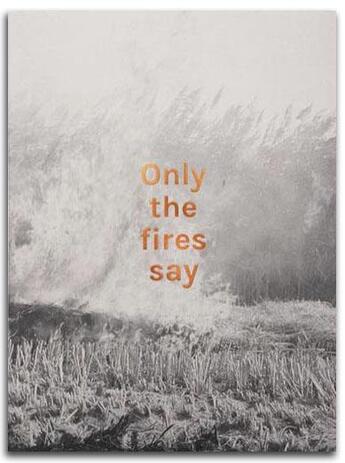 Couverture du livre « Only the fires say » de Alan Eglinton aux éditions Poursuite