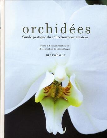 Couverture du livre « Orchidées ; guide pratique du collectionneur amateur » de Rittershausen Willia aux éditions Marabout