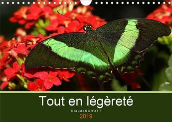 Couverture du livre « Tout en legerete calendrier mural 2019 din a4 horizontal - calendrier mensuel avec des ph » de Schott Claude aux éditions Calvendo