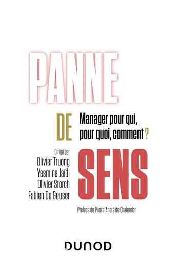 Couverture du livre « Panne de sens : manager pour qui, pour quoi, comment ? » de Olivier Truong et Yasmina Jaidi et Fabien De Geuser et Olivier Storch aux éditions Dunod