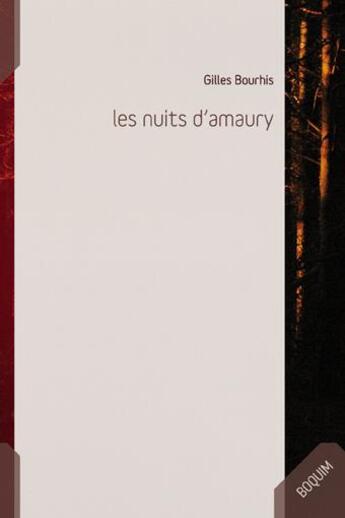 Couverture du livre « Les nuits d'Amaury » de Gilles Bourhis aux éditions Vagamundo