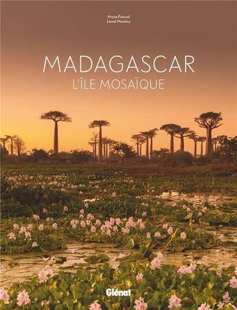 Couverture du livre « Madagascar ; l'île mosaïque » de Marie-Helene Paturel et Lionel Montico aux éditions Glenat