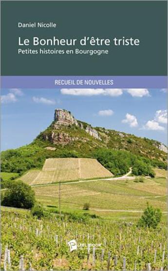 Couverture du livre « Le bonheur d'etre triste » de Nicolle Daniel aux éditions Publibook