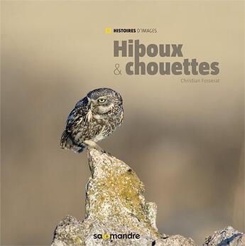 Couverture du livre « Hiboux et chouettes » de Christian Fosserat aux éditions Editions De La Salamandre