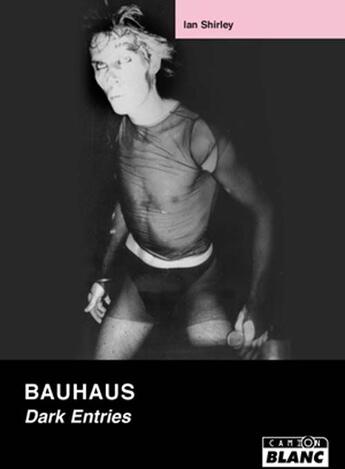 Couverture du livre « Bauhaus ; dark entries » de Ian Shirley aux éditions Le Camion Blanc