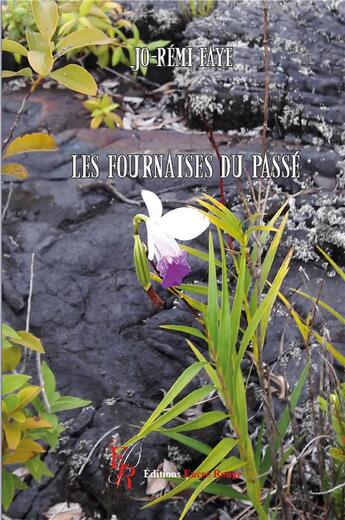 Couverture du livre « Les fournaises du passé » de Jo-Remi Faye aux éditions Editions Encre Rouge