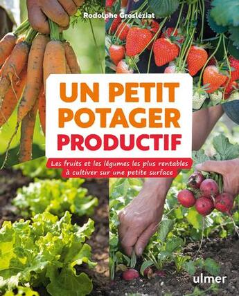 Couverture du livre « Un petit potager productif » de Rodolphe Grosleziat aux éditions Eugen Ulmer