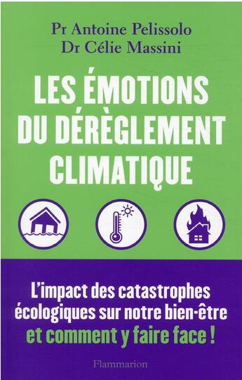 Couverture du livre « Les émotions du dérèglement climatique » de Antoine Pelissolo et Celie Massini aux éditions Flammarion