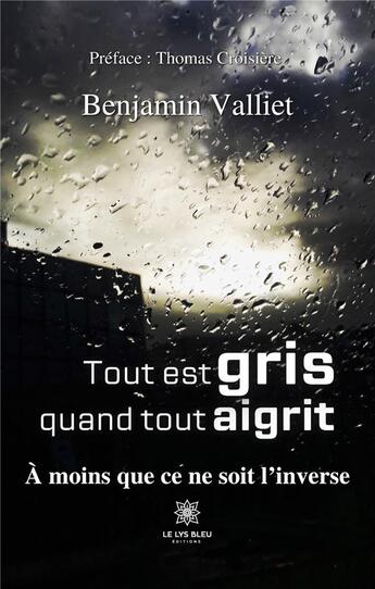 Couverture du livre « Tout est gris quand tout aigrit : à moins que ce ne soit l'inverse » de Benjamin Valliet aux éditions Le Lys Bleu