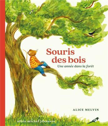 Couverture du livre « Souris des bois : Une année dans la forêt » de Alice Melvin aux éditions Albin Michel