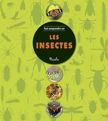 Couverture du livre « Tout comprendre ; les insectes » de  aux éditions Piccolia