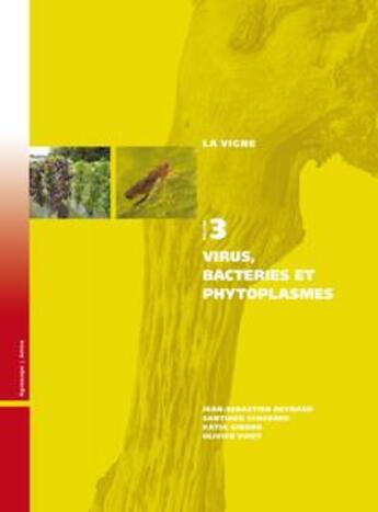 Couverture du livre « La vigne t.3 ; virus, bactéries et phytoplasmes » de  aux éditions Amtra