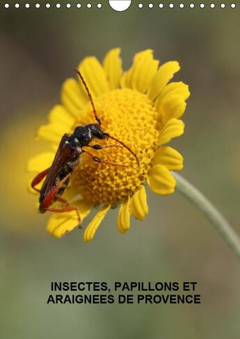 Couverture du livre « Les insectes papillons et arai » de Martine Julien aux éditions Calvendo