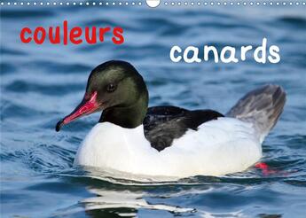 Couverture du livre « Couleurs canards (Calendrier mural 2020 DIN A3 horizontal) ; Canards aux couleurs variées et enchanteuses (Calendrier mensuel, 14 Pages ) » de Elena Duvernay aux éditions Calvendo