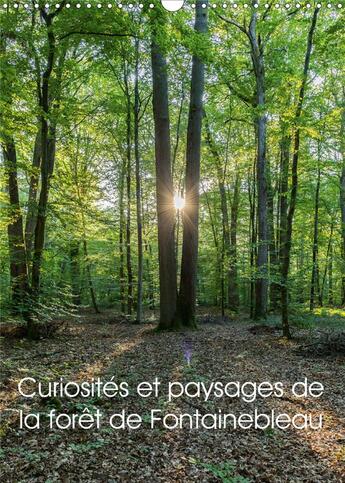 Couverture du livre « Curiosites et paysages de la foret de fontainebleau calendrier mural 2020 din a3 - partez a la decou » de Makhloufi Djama aux éditions Calvendo