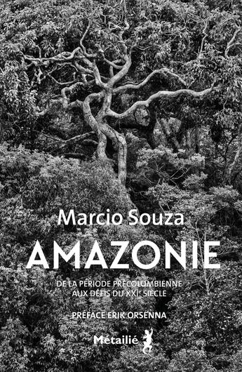 Couverture du livre « Amazonie : De la période précolombienne aux défis du XXIe siècle » de Marcio Souza aux éditions Metailie