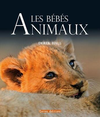 Couverture du livre « Les bébés animaux » de Derek Hall aux éditions Terres Editions