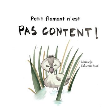 Couverture du livre « Petit flamant n'est pas content ! » de Mamie Ja et Fabienne Ruiz aux éditions Verte Plume