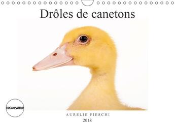 Couverture du livre « Droles de canetons calendrier mural 2018 din a4 horizontal - d adorables canetons calendrie » de Fieschi A aux éditions Calvendo