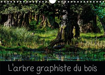 Couverture du livre « L arbre graphiste du bois calendrier mural 2020 din a4 horizontal - l arbre est le graphiste de la » de Michel Angot aux éditions Calvendo