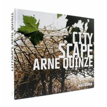Couverture du livre « Arne quinze cityscape /anglais » de Borka Max aux éditions Dgv