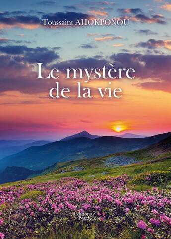 Couverture du livre « Le mystère de la vie » de Toussaint Ahokponou aux éditions Baudelaire