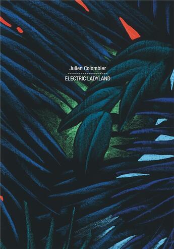 Couverture du livre « Julien Colombier. electric ladyland » de Sumiko Oe-Gottini aux éditions Lienart