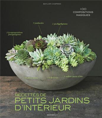 Couverture du livre « Recettes de petits jardins d'intérieur » de  aux éditions Marabout