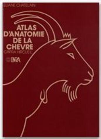 Couverture du livre « Atlas d'anatomie de la chèvre » de Chatelain aux éditions Inra