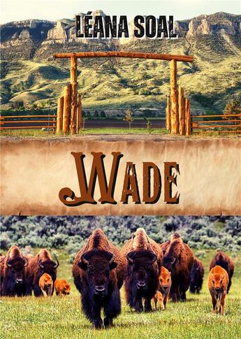 Couverture du livre « Wade » de Soal Leana aux éditions Books On Demand