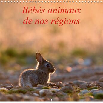 Couverture du livre « L insouciance des bebes animau » de Henry Ausloos aux éditions Calvendo