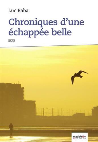 Couverture du livre « Chroniques d'une échappée belle » de Luc Baba aux éditions Maelstrom