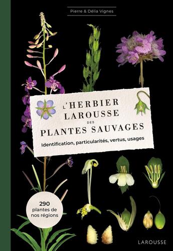 Couverture du livre « L'Herbier Larousse des plantes sauvages : Identification, particularités, vertus, usages » de Pierre Vignes et Delia Vignes aux éditions Larousse