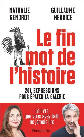 Couverture du livre « Le fin mot de l'histoire : 201 expressions pour épater la galerie » de Nathalie Gendrot et Guillaume Meurice aux éditions Flammarion