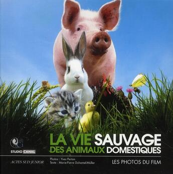 Couverture du livre « La vie sauvage des animaux domestiques » de Yves Perton et Marie-Pierre Duhamel-Mullier aux éditions Actes Sud Junior