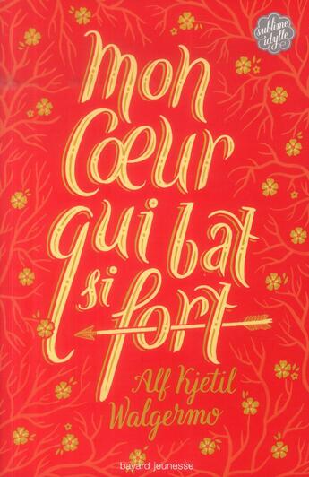 Couverture du livre « Mon coeur qui bat si fort » de Alf Kjetil Walgermo et Jim Tierney aux éditions Bayard Jeunesse