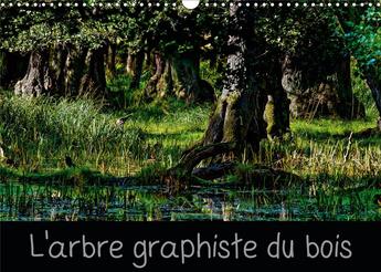 Couverture du livre « L arbre graphiste du bois calendrier mural 2020 din a3 horizontal - l arbre est le graphiste de la » de Michel Angot aux éditions Calvendo