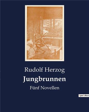 Couverture du livre « Jungbrunnen - funf novellen » de Herzog Rudolf aux éditions Culturea