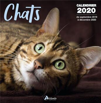 Couverture du livre « Calendrier chats (2020) » de  aux éditions Artemis