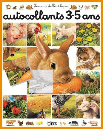 Couverture du livre « Les Amis De Petit Lapin » de Andre Boos aux éditions Lito