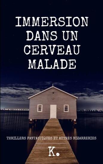 Couverture du livre « Immersion dans un cerveau malade - thrillers fantastiques et autres bizarreries » de K. aux éditions Imagination Project