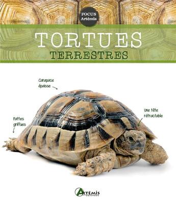 Couverture du livre « Tortues terrestres » de  aux éditions Artemis