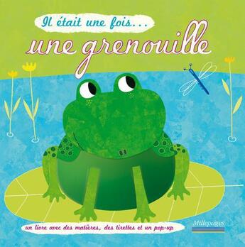 Couverture du livre « Il était une fois... ; une grenouille » de Nicolas Gouny aux éditions Millepages