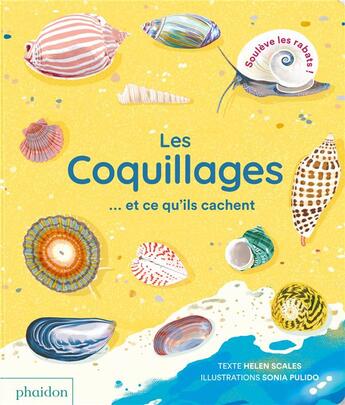 Couverture du livre « Les coquillages et ce qu'ils cachent » de Scales/Pulido aux éditions Phaidon