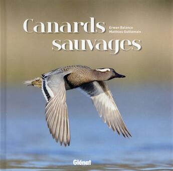 Couverture du livre « Canards sauvages » de Matthieu Guillemain et Erwan Balanca aux éditions Glenat