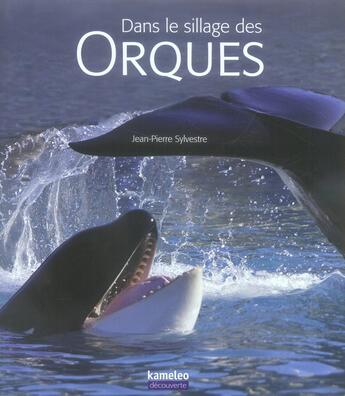Couverture du livre « Dans le sillage des orques » de Sylvestre Jean-Pierr aux éditions Kameleo