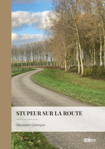 Couverture du livre « Stupeur sur la route » de Sebastien Distriquin aux éditions Publibook