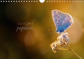 Couverture du livre « Suivez les papillons calendrier mural 2018 din a4 horizontal - calendrier photo sur le theme » de Gans C aux éditions Calvendo