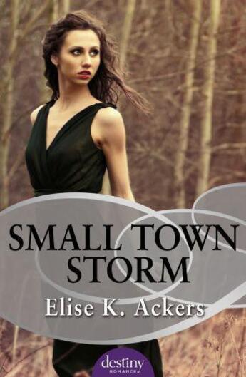 Couverture du livre « Small Town Storm » de Ackers Elise K aux éditions Penguin Books Ltd Digital