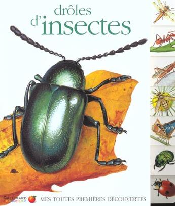 Couverture du livre « Droles d'insectes » de  aux éditions Gallimard-jeunesse